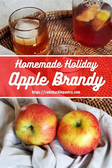 Holiday Homemade Apple Brandy | Recipe | Apple brandy, Brandy recipe ...