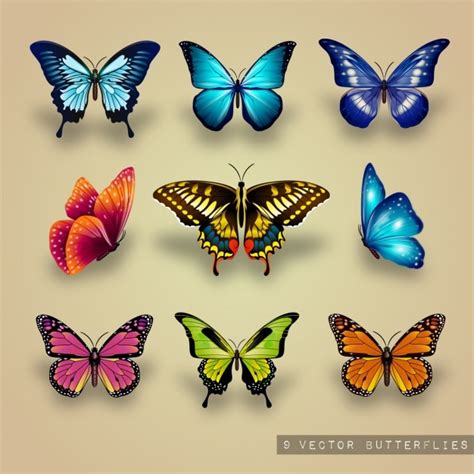 Butterfly 3d Images - Free Download on Freepik