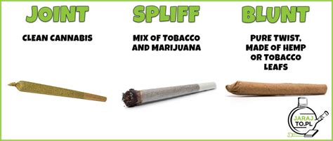 Blog - Joint, blunt and spliff. What's the difference? jarajto.pl