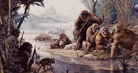 Gigantopithecus blacki - The Story So Far | Human Evolution @ UCL - UCL – University College London