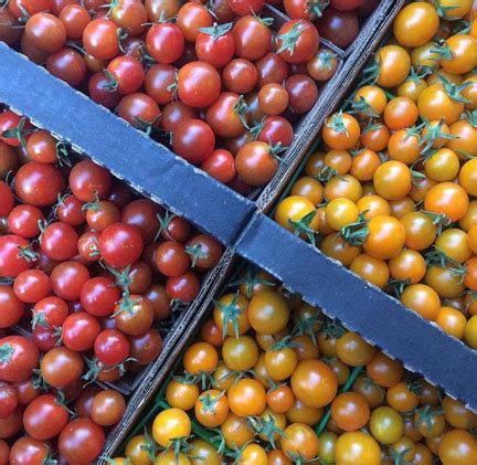 Cherry Tomato (Half a Flat) – Mariquita Farm