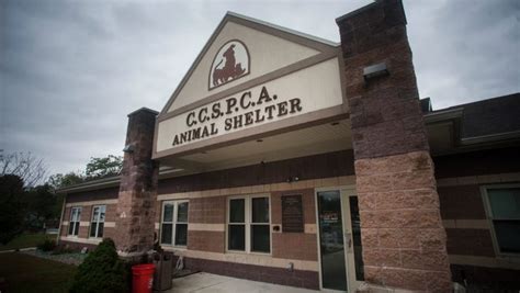 Cumberland County SPCA animal shelter plans to close in December.