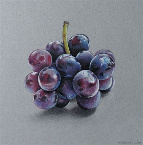 Grapes Realistic Drawing By Marcello Barenghi 18