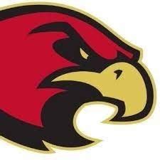 Top 10 Tennessee High School Mascots - Rutherford Source