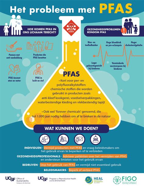 Health and Environment Alliance | How PFAS chemicals affect women, pregnancy and human ...