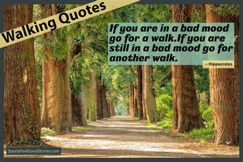 73 Beautiful Walking Quotes to Brighten Your Morning Walk