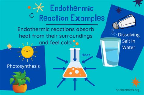 Photosynthesis is Exothermic or Endothermic - BrentonsrSmith