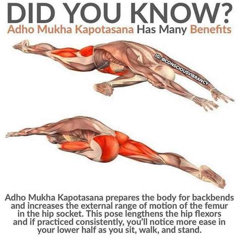 You can only do these stretches after flaying your skin | Yoga benefits, Yoga anatomy, Yoga postures