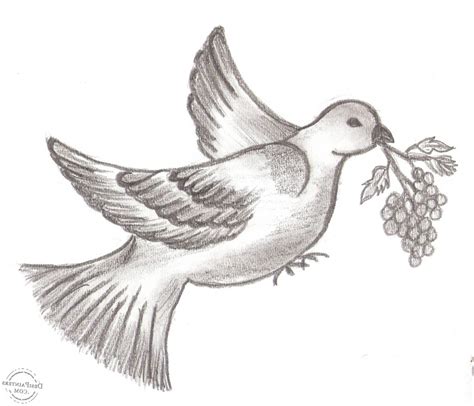 Love Birds Drawing Images at PaintingValley.com | Explore collection of ...