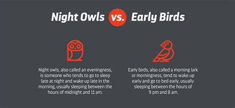 Night Owl & Early Bird Meanings | Layla