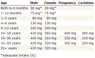 Magnesium: How does it work? | 5pointpt