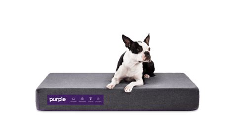 Dog Beds | Pet Beds | Small to Large | Purple