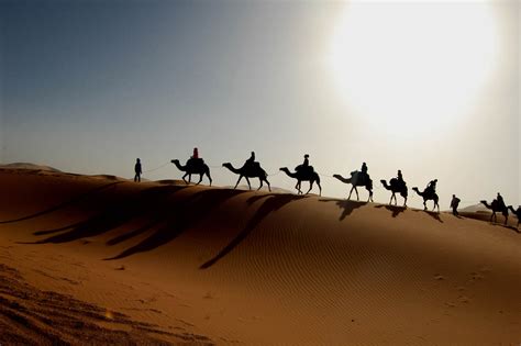 Sahara Desert: Facts, Climate & Temperature of the Dessert