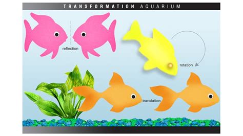 Geometry Transformation Activity: Transformation Aquariums