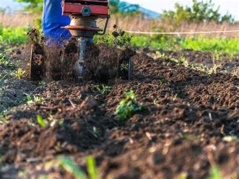 How Deep Do You Till A Vegetable Garden? This Deep! - The Small Town ...