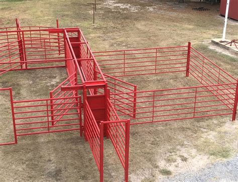 Custom Cattle Handling System 2 | BrinTough Equipment, Inc. Texas