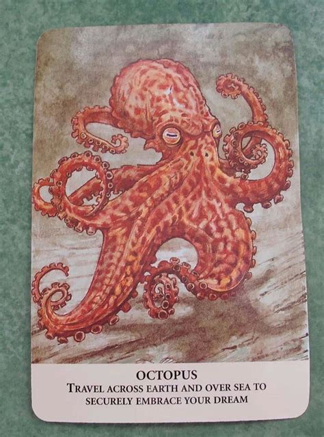 Octopus Animal Meanings, Animal Symbolism, Symbols And Meanings, Animal Spirit Guides, Spirit ...