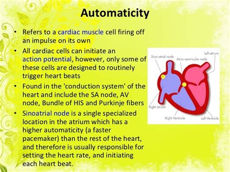 Cardiac Medications Review 2011