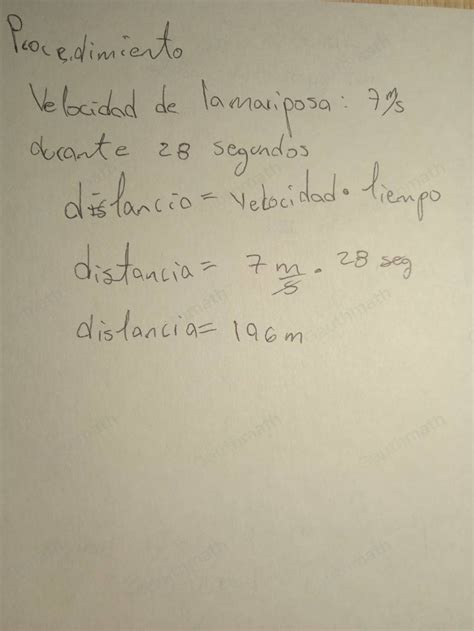 Solved: 2. Una mariposa vuela en linea recta hacia el sur co[algebra] - Gauthmath