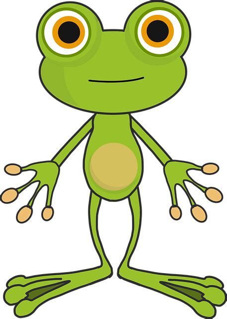 Gambar Katak Kartun – denah