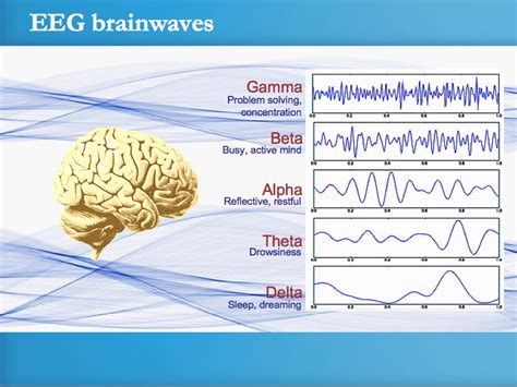 EEG Brain Waves | Attachment