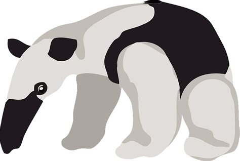 Anteater clipart. Free download transparent .PNG | Creazilla