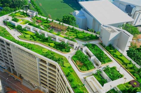 Projects | Skyrise Greenery | Çatı bahçeleri, Yeşil çatılar, Peyzaj tasarımları