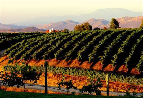 California Wine Country Vacations - A New Way To Experience Wine Tasting