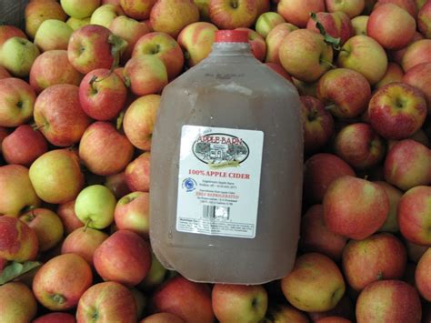 The cider is back! | Engelsma's Apple Barn Cider Mill