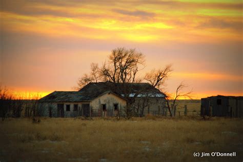 Out on the Llano Estacado | Around the World in Eighty Years