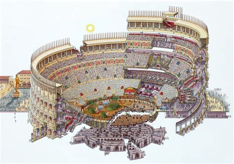 Colosseum+Section Drawing. Colosseum (Flavian Amphitheater). Rome, Italy. Imperial Roman. 70–80 ...