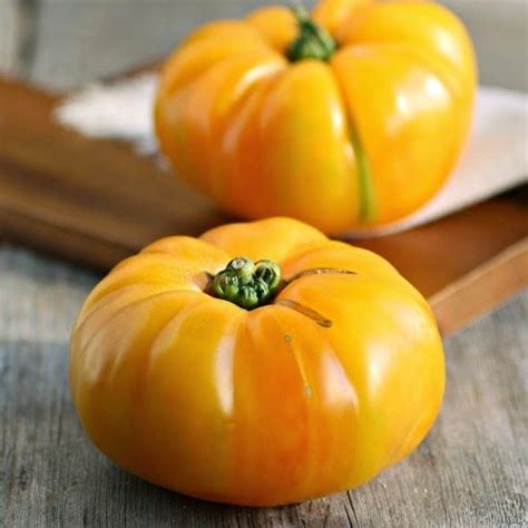 Tomato Seeds - Brandywine Yellow | Vegetable Seeds in Packets & Bulk | Eden Brothers