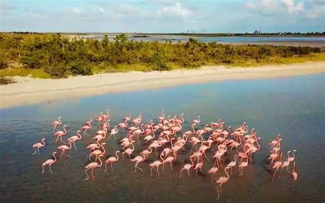 Sailing to Anegada: How to Navigate to and Visit the Sunken Island