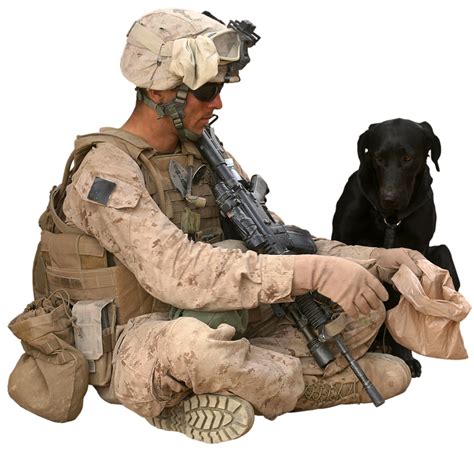 Soldier Dog Army - Free image on Pixabay