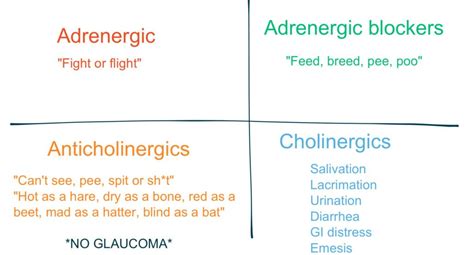 Nursing Pharmacology: Adrenergics & Cholinergics | Krista Joy Veteto