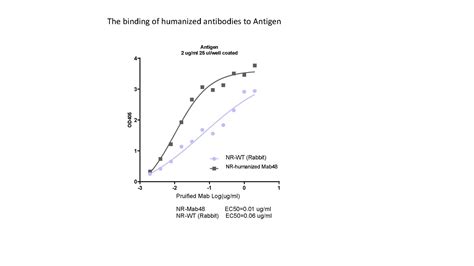 Antibody Humanization Service - Fusion BioLabs