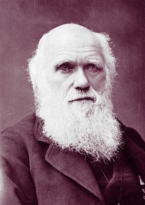 Charles Darwin Wallpapers - Wallpaper Cave