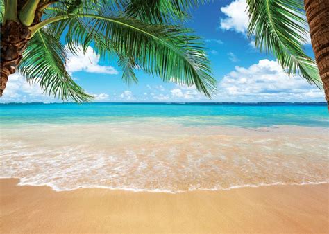 Buy AIIKES 7x5FT Summer Seascape Backdrop Tropical Beach Photography ...
