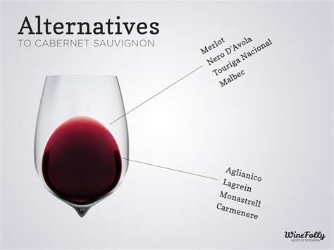 8 Delicious Alternatives to Cabernet Sauvignon | Wine Folly