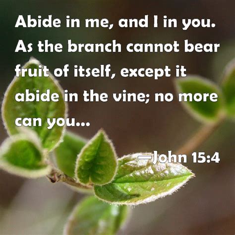 John 15:4 Abide in me, and I in you. As the branch cannot bear fruit of itself, except it abide ...