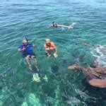 Hol Chan and Shark Ray Alley snorkeling tour w/ Caye Caulker island beach break - Belize City ...