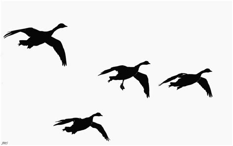 Silhouette Of Geese Flying at GetDrawings | Free download