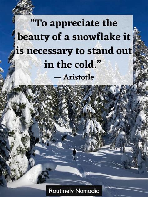 100 Best Funny Snow Quotes for Those Snowy Days | Routinely Nomadic