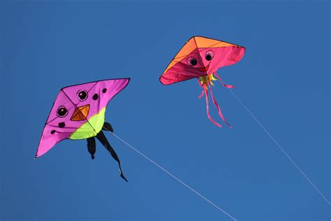 The Colorful History of Kites | Recreation Insider