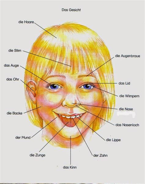 German Facial Features