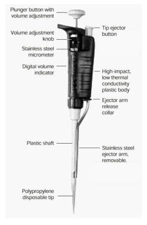 Liquid Handling using a Micropipette - Biomall Blog