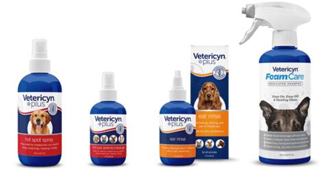 How To Cure A Dog Skin Yeast Infection - Stone Youtims