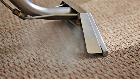 Eco-Friendly Carpet Cleaning - Serve green Cleaning