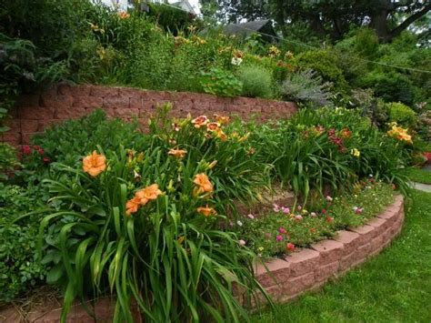 Daylilies in the Landscape: A Photo Tour - Garden.org