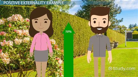 Positive Externality | Definition, Graph & Examples - Lesson | Study.com